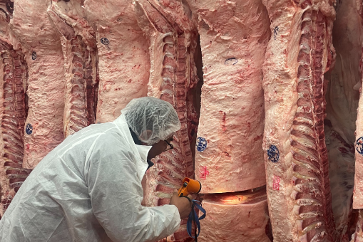 食品加工の様子